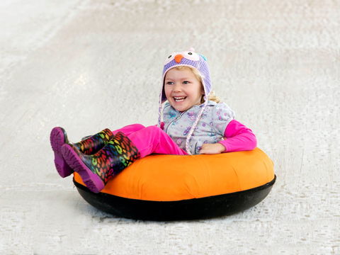 Snow Time In The Garden - Hunter Valley Gardens - Cancelled - Accommodation QLD 1