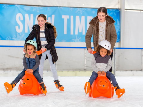 Snow Time In The Garden - Hunter Valley Gardens - Cancelled - Accommodation QLD 2