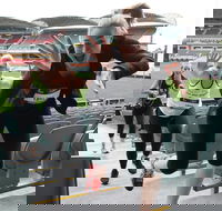 Stadium Stomp Adelaide Oval - Postponed - Accommodation QLD