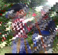 St Georges Day Medieval Dinner - Accommodation QLD