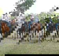 Stroud Show - Accommodation QLD