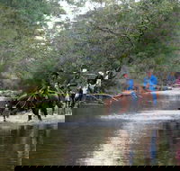 The Man From Snowy River Bush Festival - Accommodation QLD