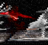 The Nutcracker and Don Quixote - Accommodation QLD