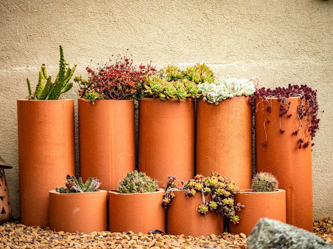Tumbarumba Spring Flower Festival - Accommodation QLD 0
