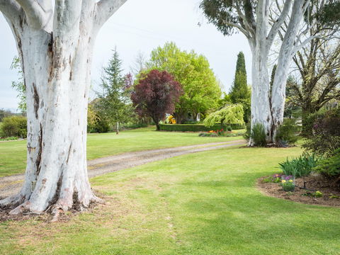 Tumbarumba Spring Flower Festival - Accommodation QLD 2