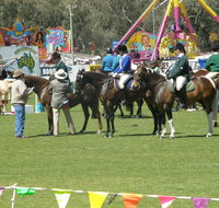 Wangaratta Show - Accommodation QLD