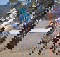 Wean Picnic Races - Accommodation QLD