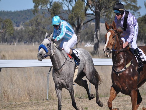 Wean Picnic Races - Accommodation QLD 0