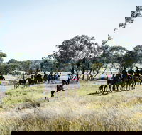 Weddin Mountain Muster - Accommodation QLD