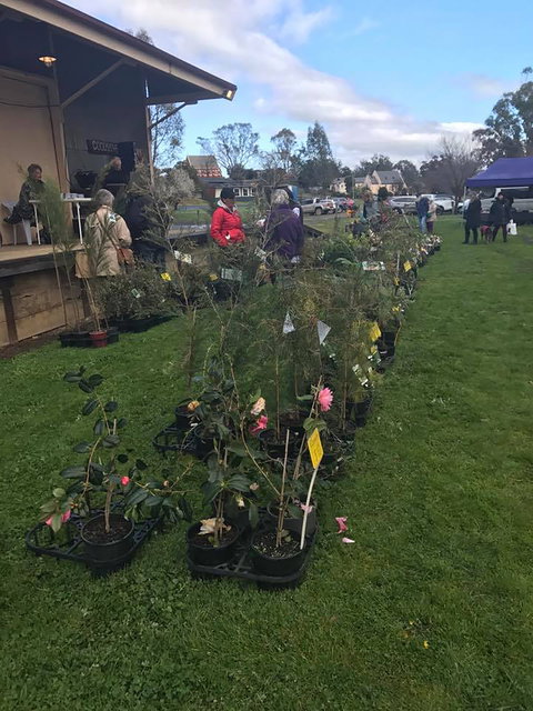 Yea Railway Market - Accommodation QLD 2