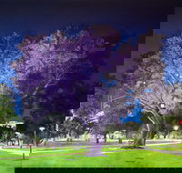 Adelaide Parklands Art Prize  Finalists Exhibition  Sale 2020 - Accommodation QLD