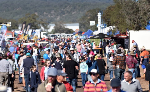 AgQuip - Accommodation QLD 0