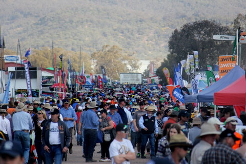 AgQuip - Accommodation QLD 1
