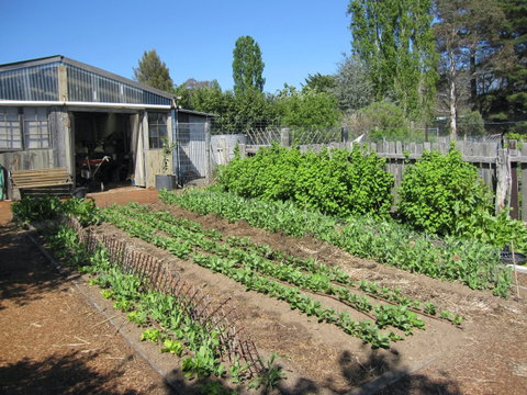 All Season Cold Climate Organic Vegetable Growing - Accommodation QLD 1