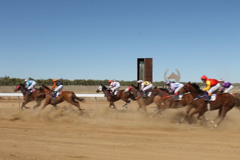 Annual Prairie Races - Accommodation QLD 1