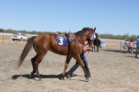 Annual Prairie Races - Accommodation QLD 2