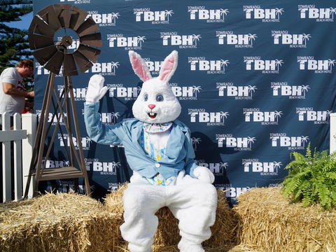 Annual Easter Show *** Postponed *** - Accommodation QLD 1