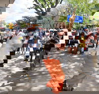 Australian National Busking Championships - Accommodation QLD