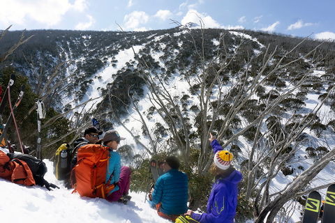 Avalanche Training Australia - Accommodation QLD 7