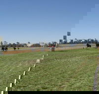 Balranald Races -Derby Day - Accommodation QLD