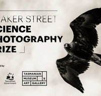 Beaker Street Science Photography Prize - Accommodation QLD