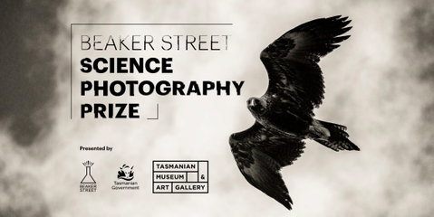 Beaker Street Science Photography Prize - Accommodation QLD 0