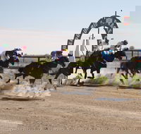 Bedourie Races and Rodeo - Accommodation QLD