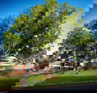 Big Bat Wildlife and Eco Festival - Accommodation QLD