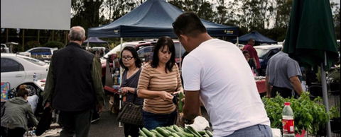 Blacktown Markets - Accommodation QLD 0