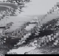 British Migrants Instant Australians - Accommodation QLD