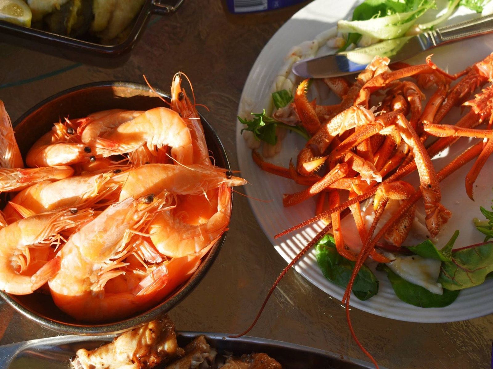 Cape Jaffa SA Accommodation QLD