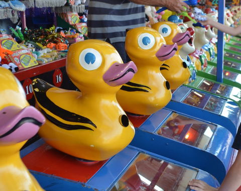 Casino Agricultural Show - Accommodation QLD 0