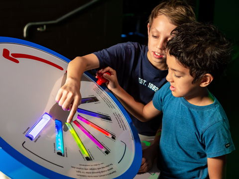 Colour: See The World In A New Light - Accommodation QLD 2