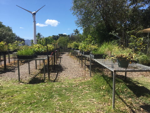 Conservation Volunteers Australia Townsville - Ocean View Nursery - Accommodation QLD 0