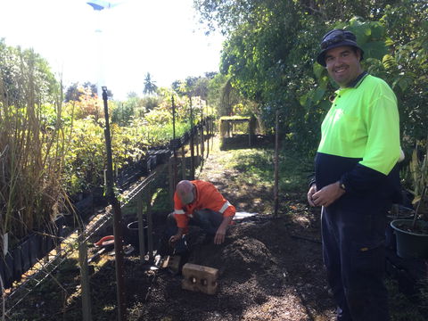 Conservation Volunteers Australia Townsville - Ocean View Nursery - Accommodation QLD 1