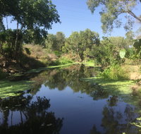 Conservation Volunteers Australia Townsville - Creekwatch - Accommodation QLD