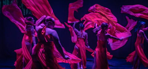 Darwin Fringe Festival - Accommodation QLD 1