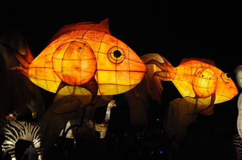 DREAM Festival: Music And Markets Event - Accommodation QLD 2