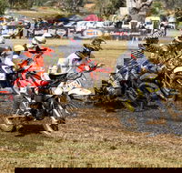 Dust Hustle Queensland Moto Park - Accommodation QLD