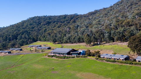 Father's Day Lunch At Holmesglen At Eildon - Accommodation QLD 2