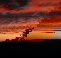 Father's Day at Cottontail Wines - Accommodation QLD