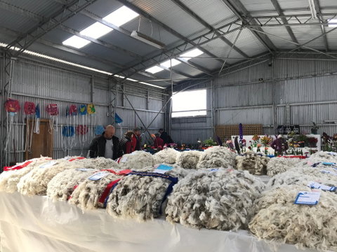 Flinders Island Show - Accommodation QLD 2