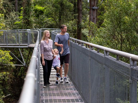 Get Back To Nature These July School Holidays! - Accommodation QLD 1