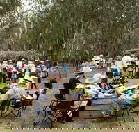 Grazing Down the Lachlan - Accommodation QLD