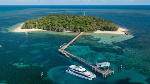 Great Adventures Green Island Ocean Swim - Accommodation QLD 0