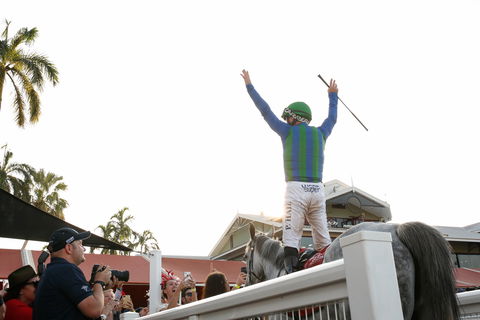 Great Northern Darwin Cup Carnival - Accommodation QLD 1