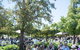 Griffith Vintage Festival - thumb 2