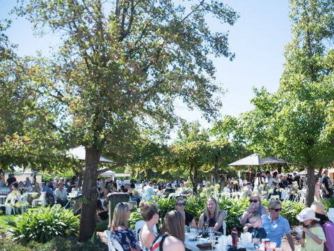 Griffith Vintage Festival - Accommodation QLD 2