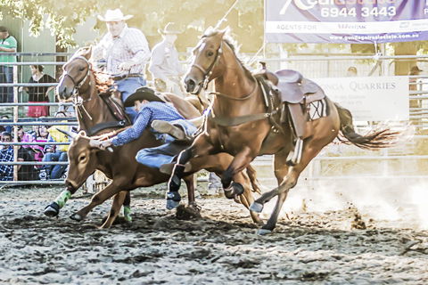Gundagai Rodeo - Accommodation QLD 0