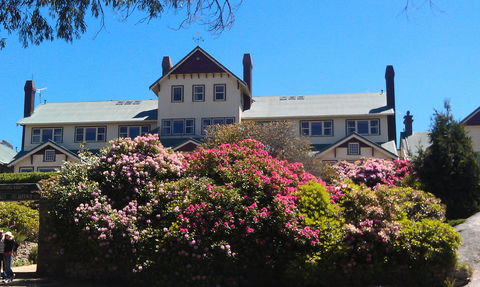 Hedonistic Hiking's Mount Buffalo Hike And Picnic - Accommodation QLD 1